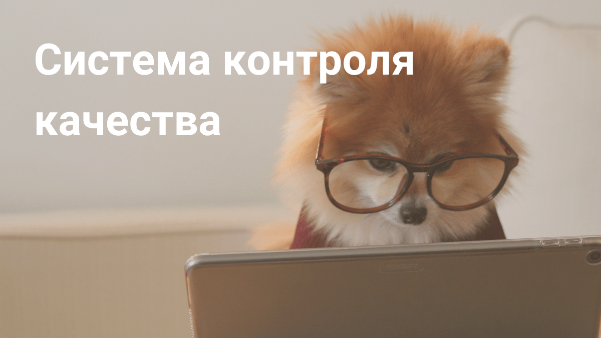 Система контроля качества - Блог Platrum