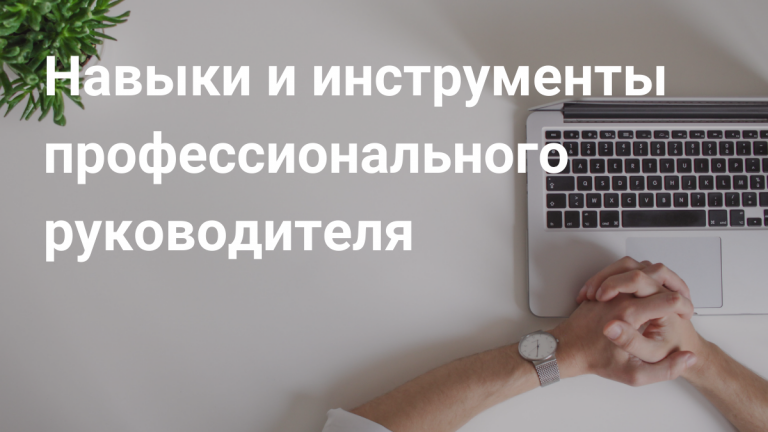 Профессиональный руководитель
