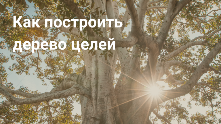 Дерево целей: что такое и как построить