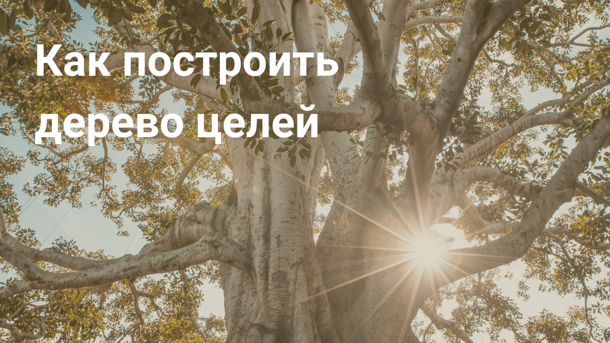 Вы точно человек?