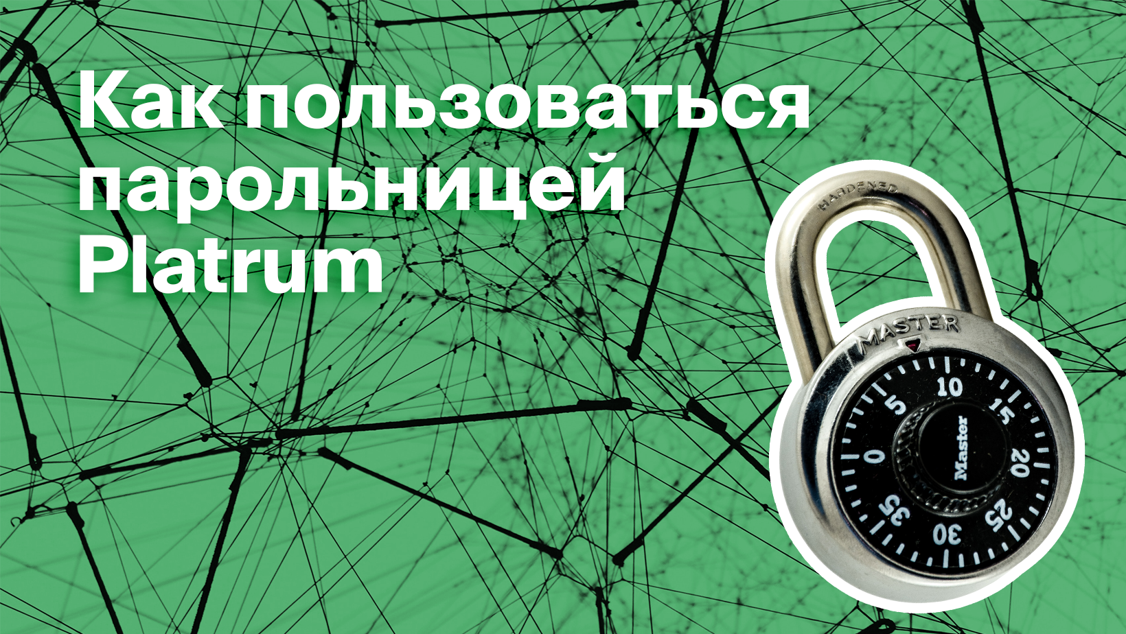 Как пользоваться парольницей