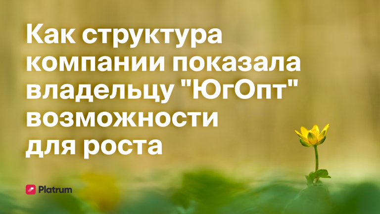 Как собственник оптовой продуктовой компании увидел точки роста своего бизнеса