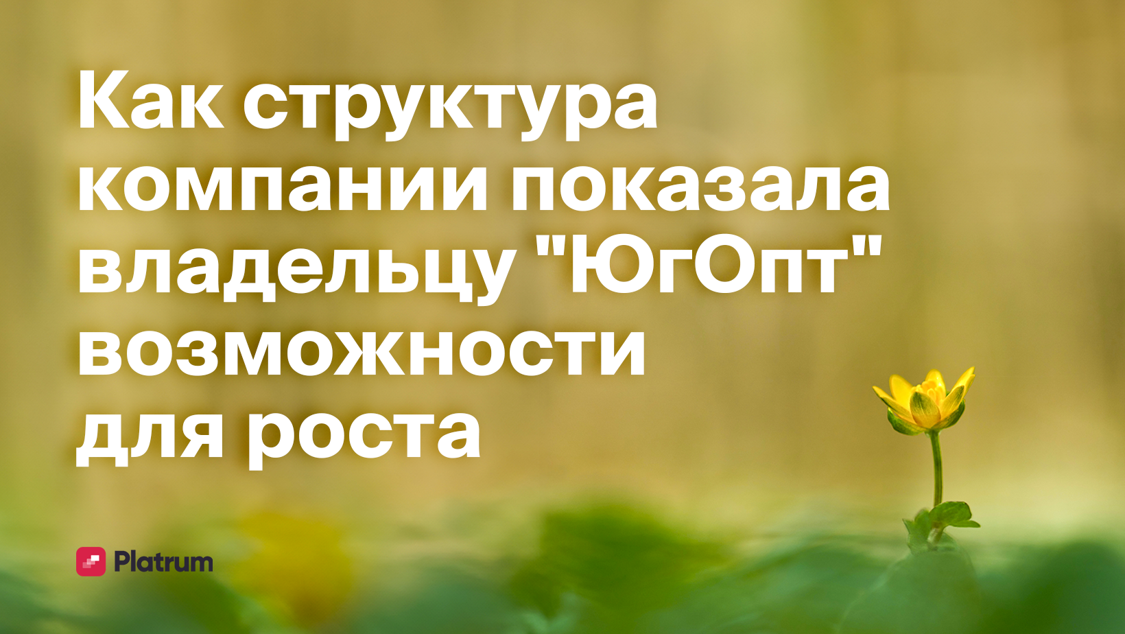 Как собственник оптовой продуктовой компании увидел точки роста своего  бизнеса - Блог Platrum