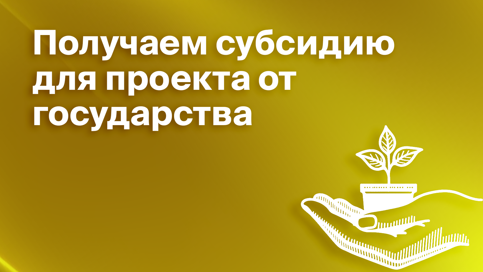 Как бизнесу получить субсидию от государства?